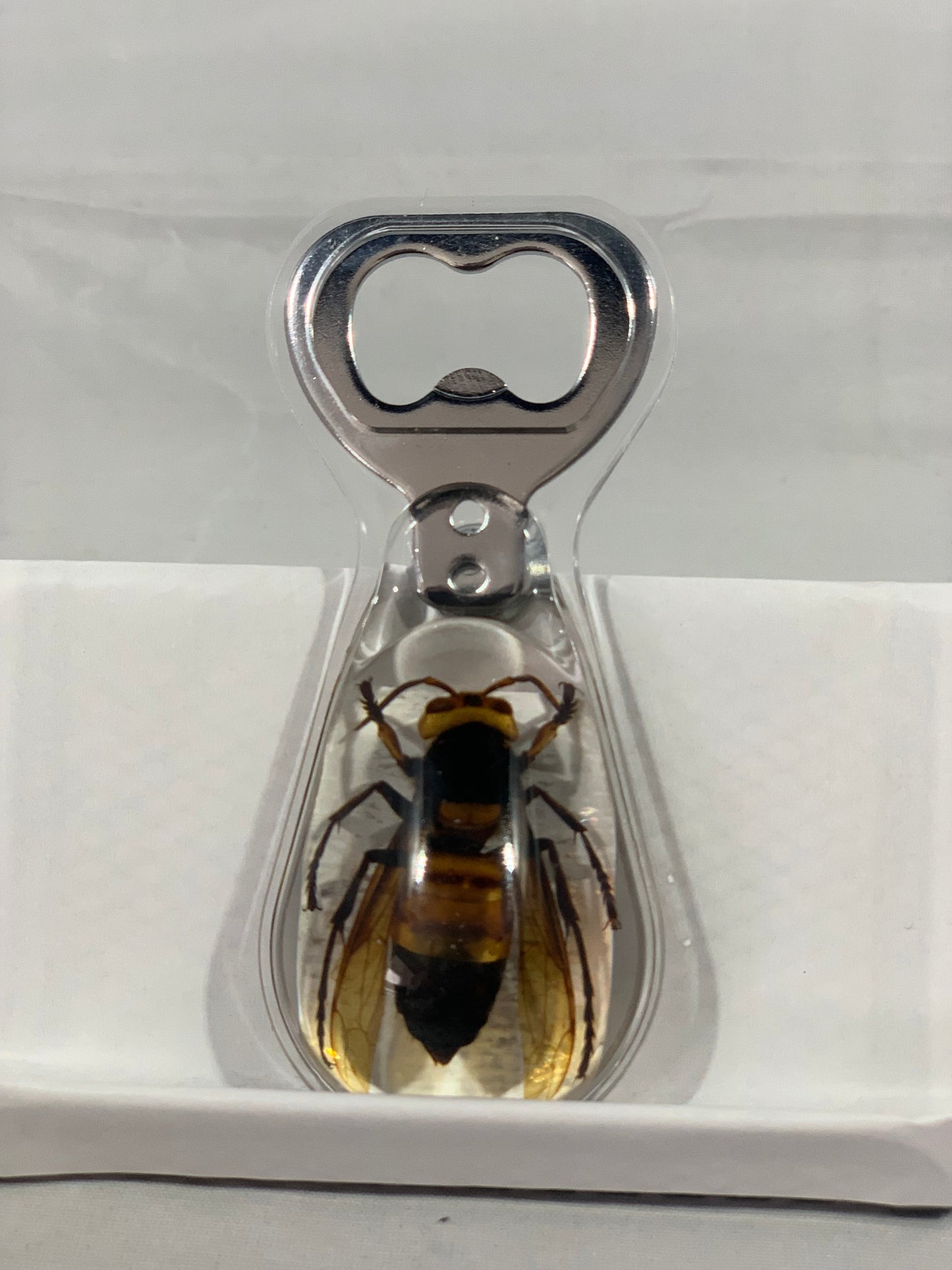 Unique and Rare Resin encased Asian giant hornet (Vespa mandarinia) Bottle Opener