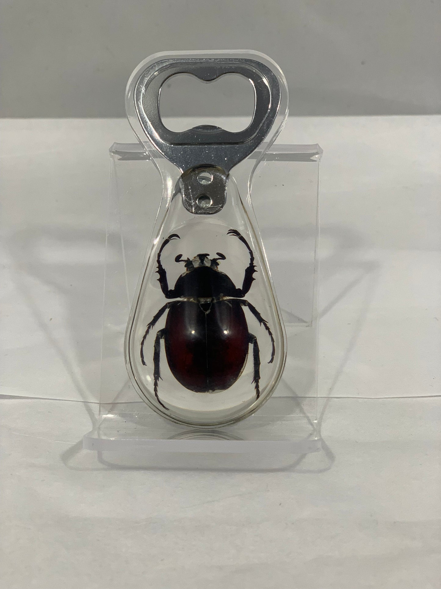 Unicorn Beetle Bottle Opener