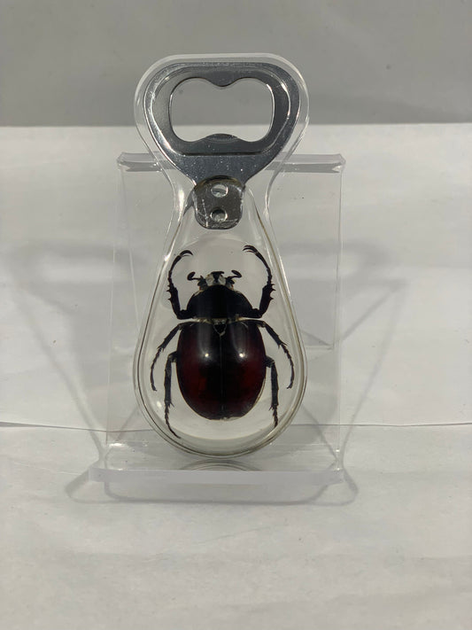 Unicorn Beetle Bottle Opener