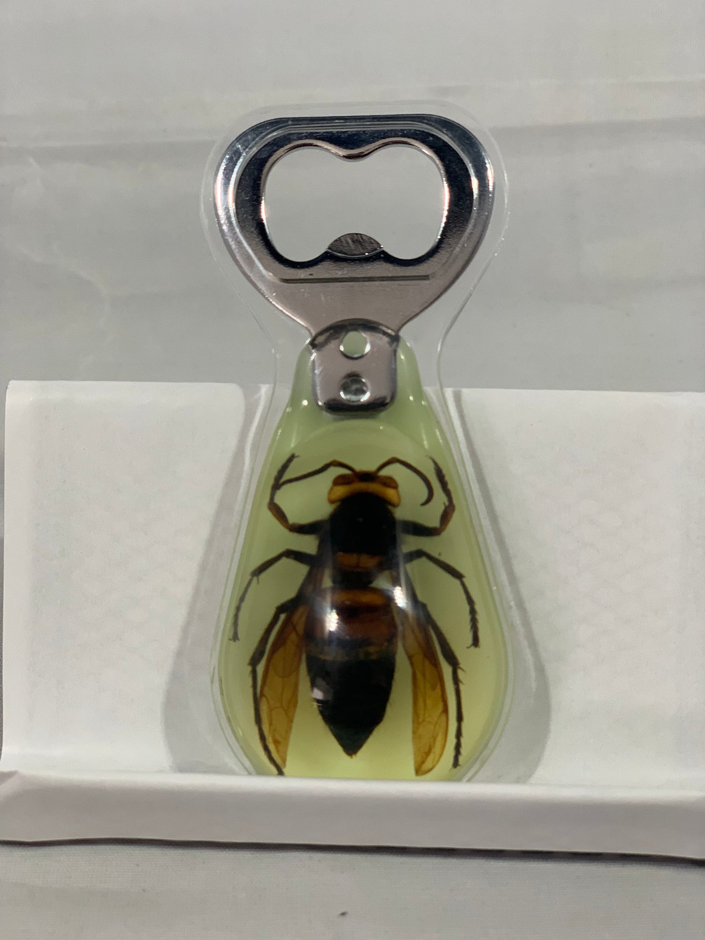 Unique and Rare Resin encased Asian giant hornet (Vespa mandarinia) Bottle Opener