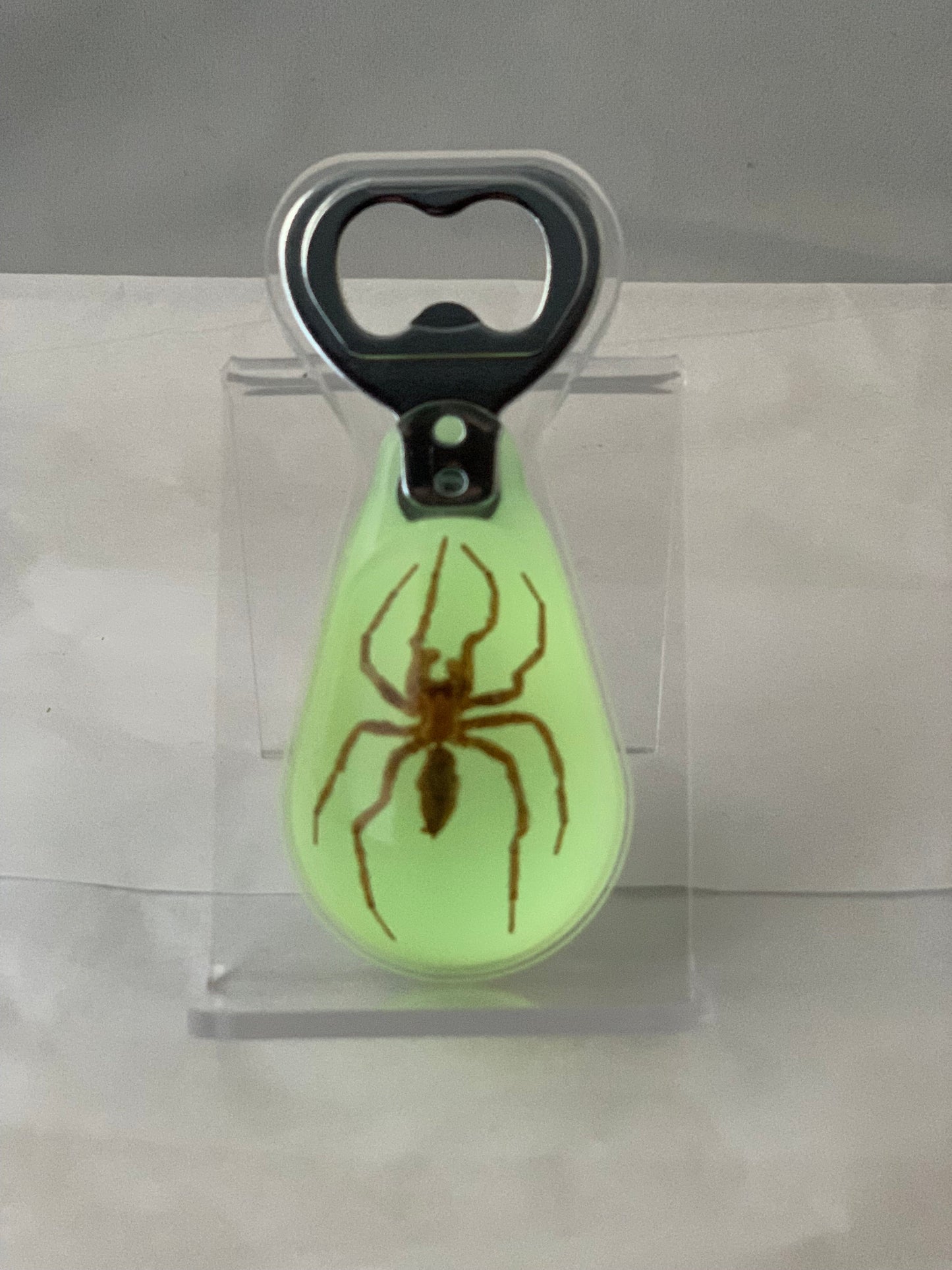Spider Bottle Opener