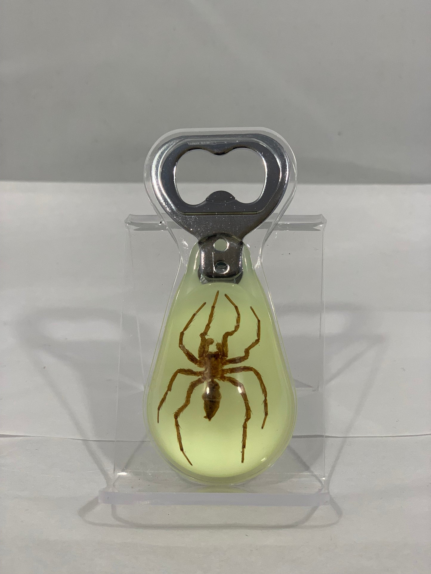 Spider Bottle Opener