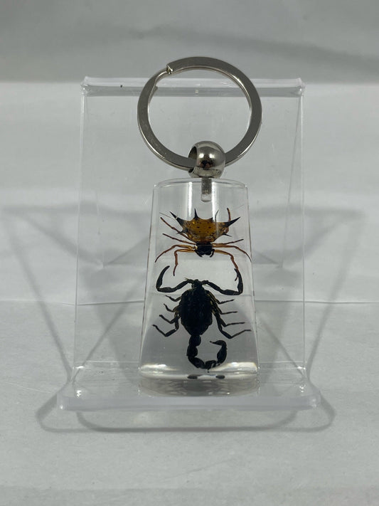 1.8" Spiny Spider & Black Scorpion Keychain