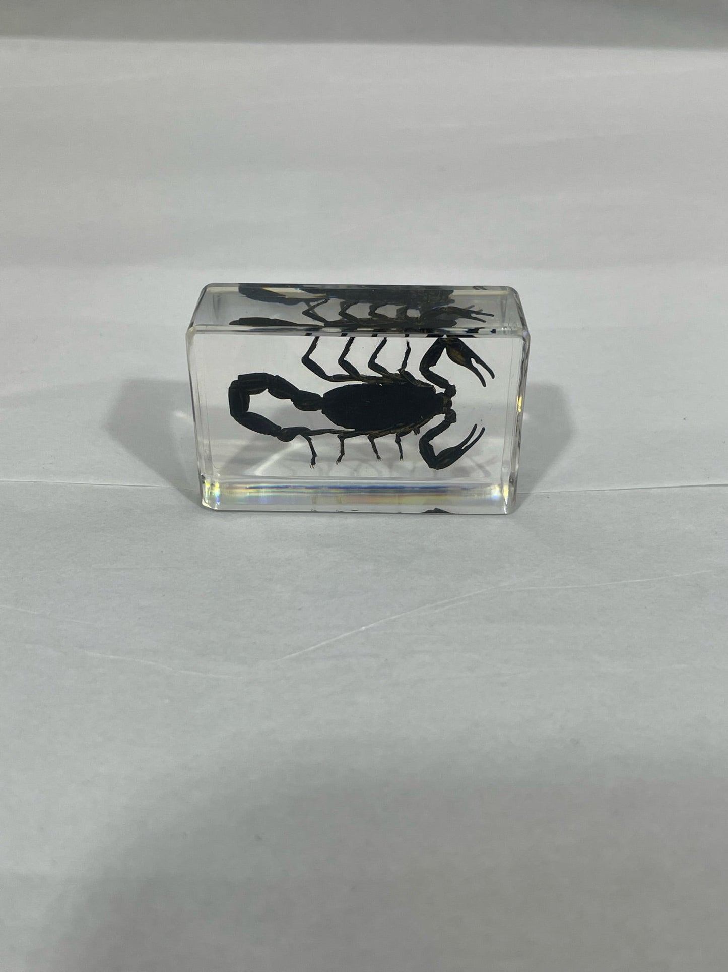 1.1" Cuboid Black Scorpion Paperweight