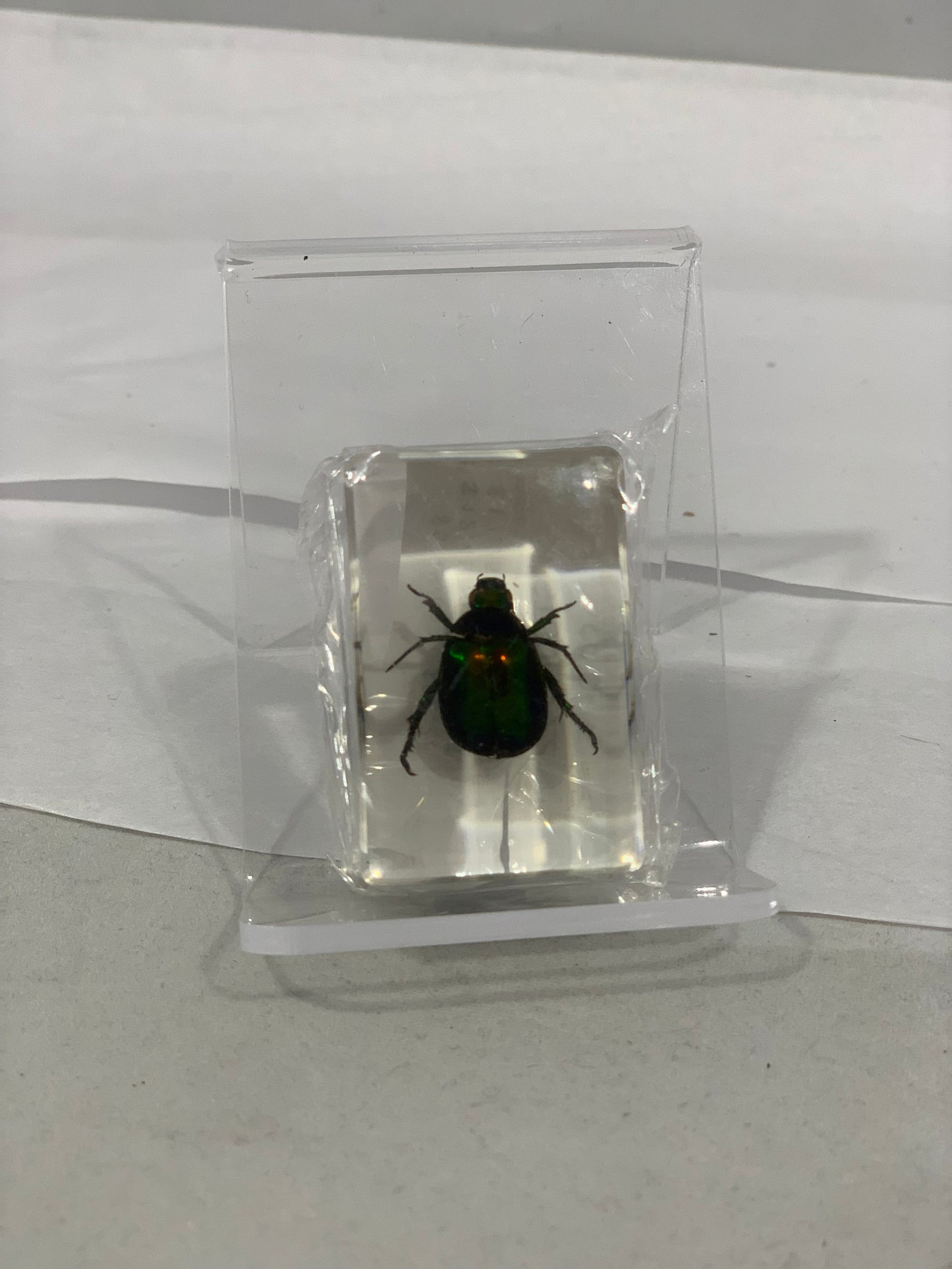 1.1" Cuboid Asst. Insect & Flower Paperweight