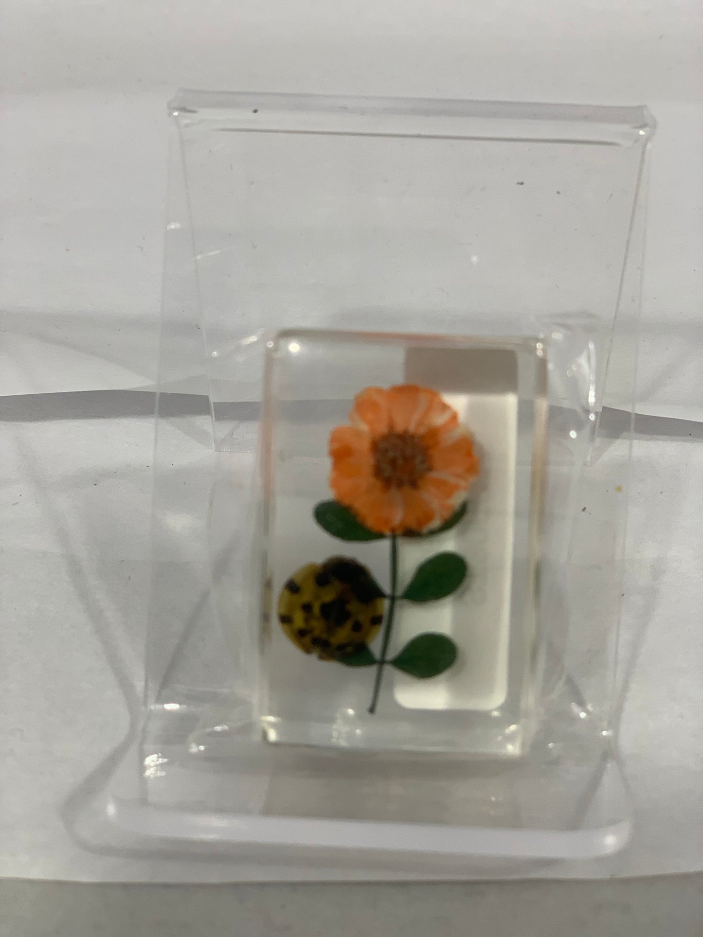 1.1" Cuboid Asst. Insect & Flower Paperweight