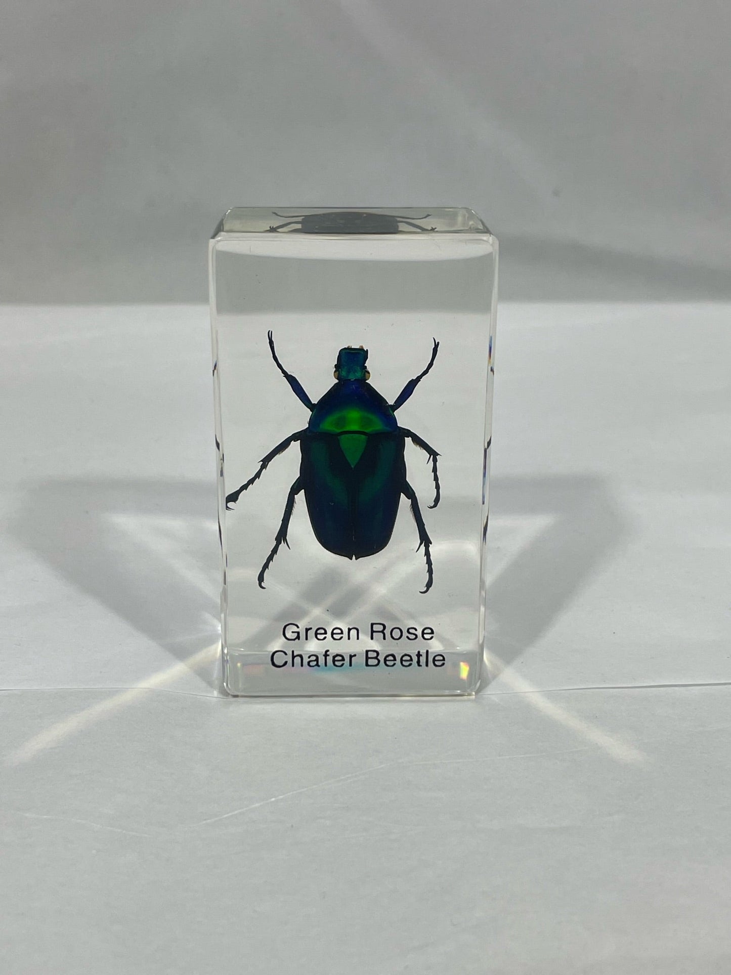 2.9" Green Rose Chafer Beetle Cuboid Paperweight