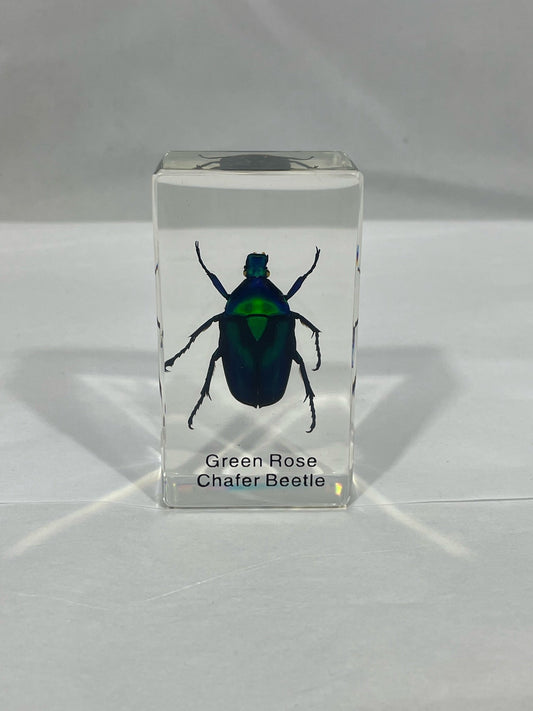 2.9" Green Rose Chafer Beetle Cuboid Paperweight