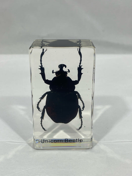 2.9" Unicorn Beetle Cuboid Paperweight