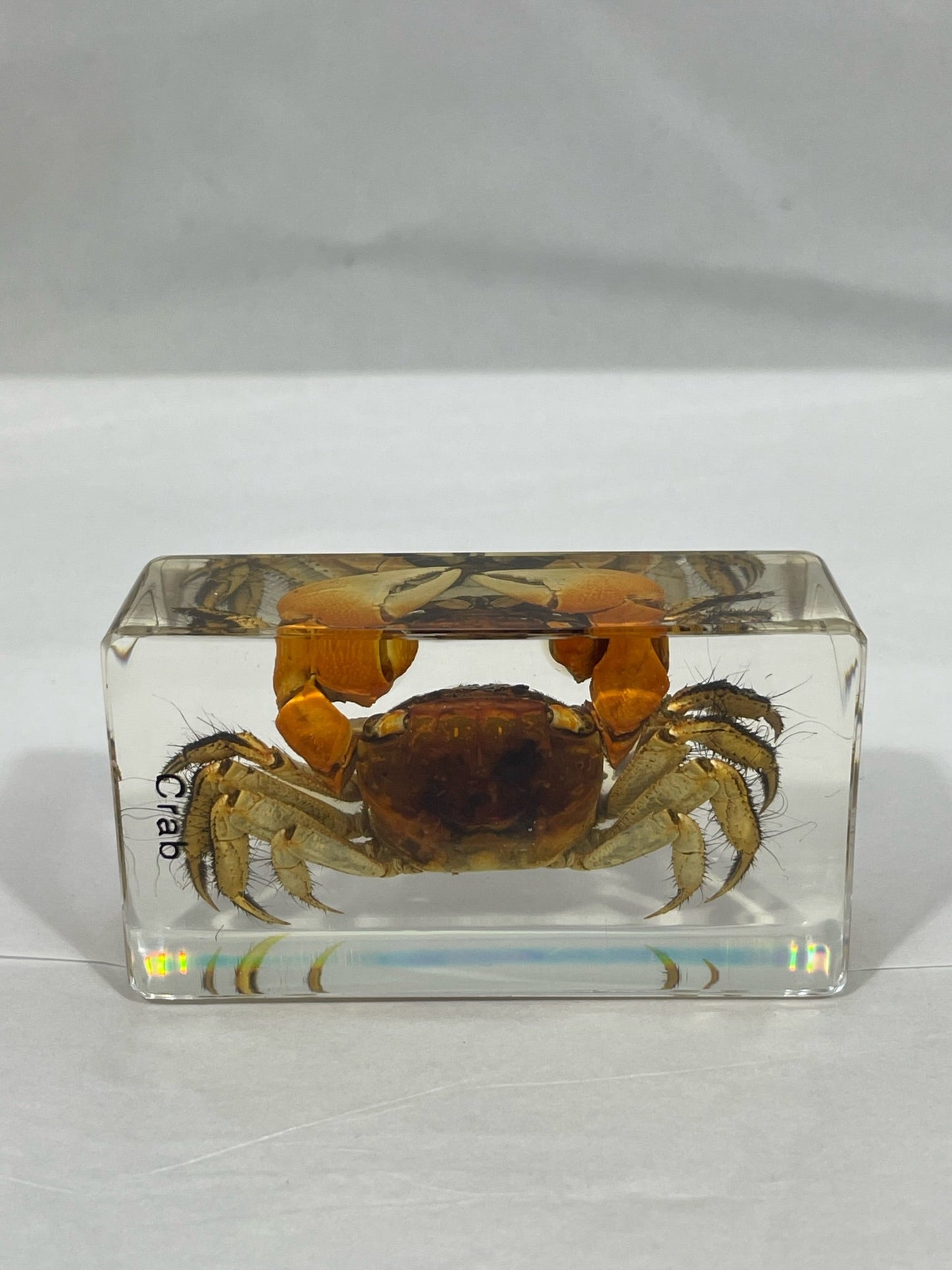 2.9" Crab Cuboid Paperweight