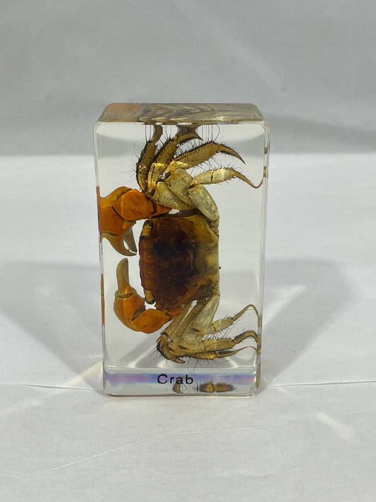 2.9" Crab Cuboid Paperweight