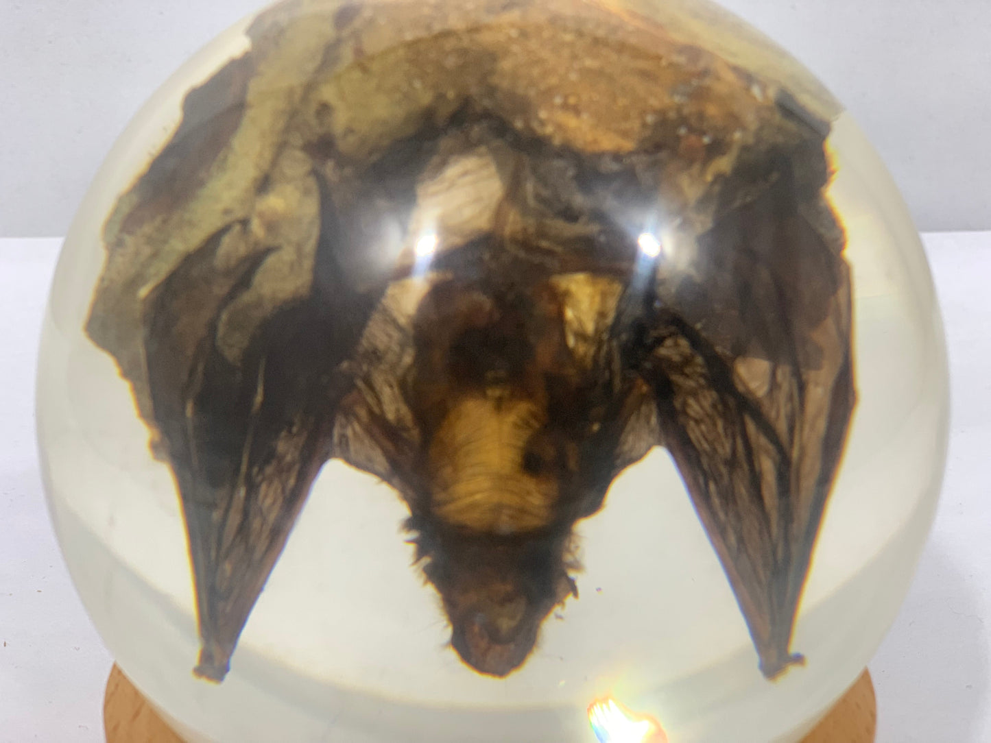 3.9" Bat Globe w/ Wood Base