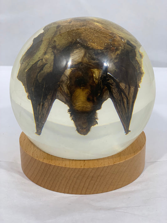 3.9" Bat Globe w/ Wood Base