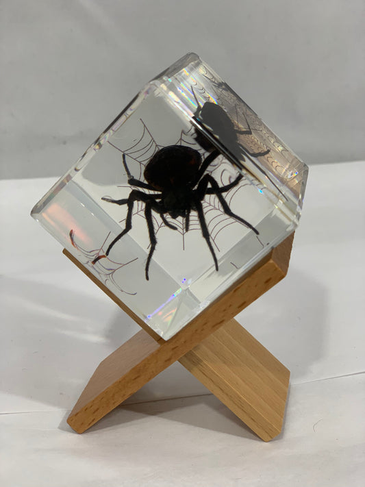 2" Spider Cube Decoration