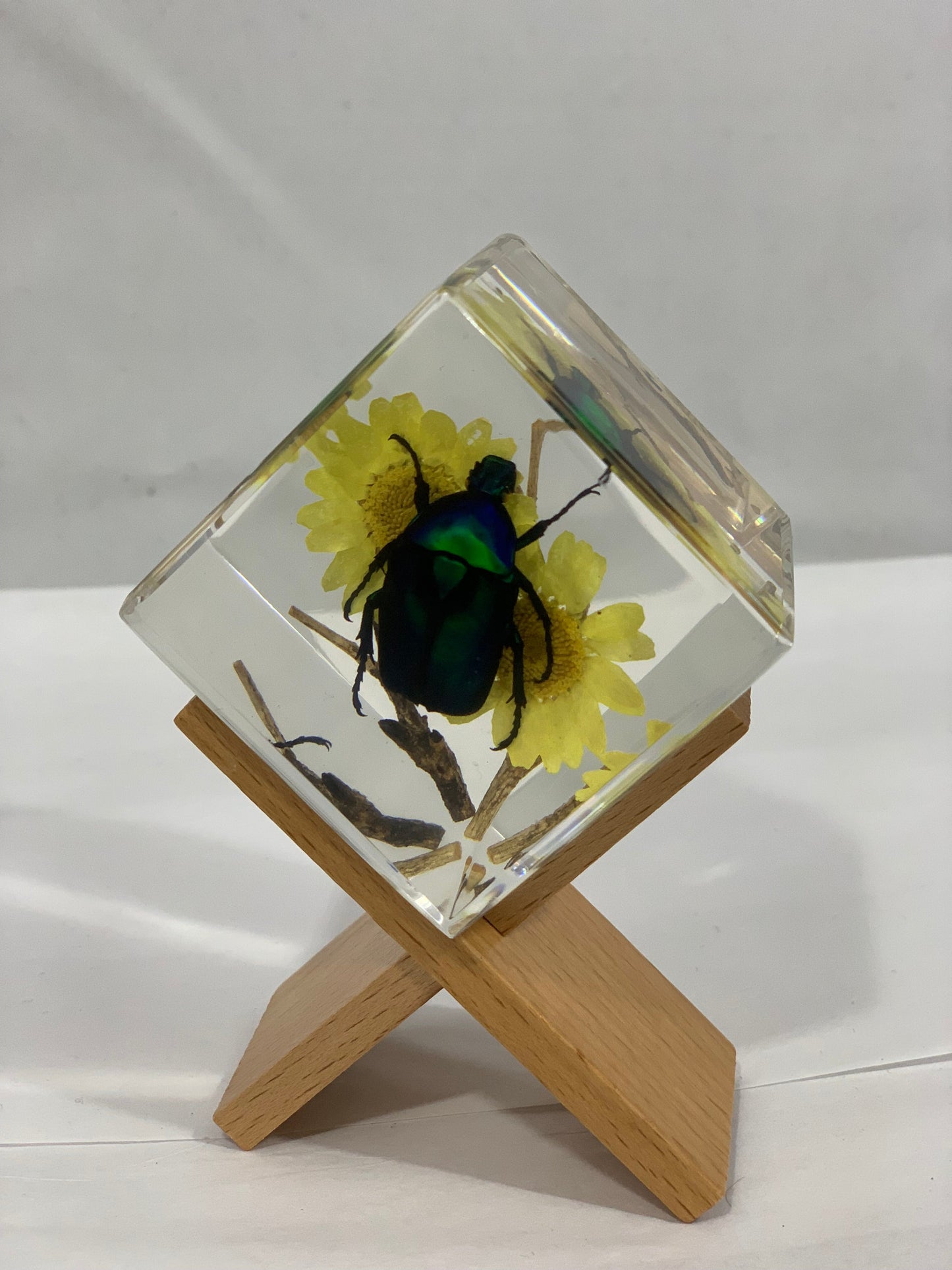2" Green Rose Chafer Beetle Cube Decoration