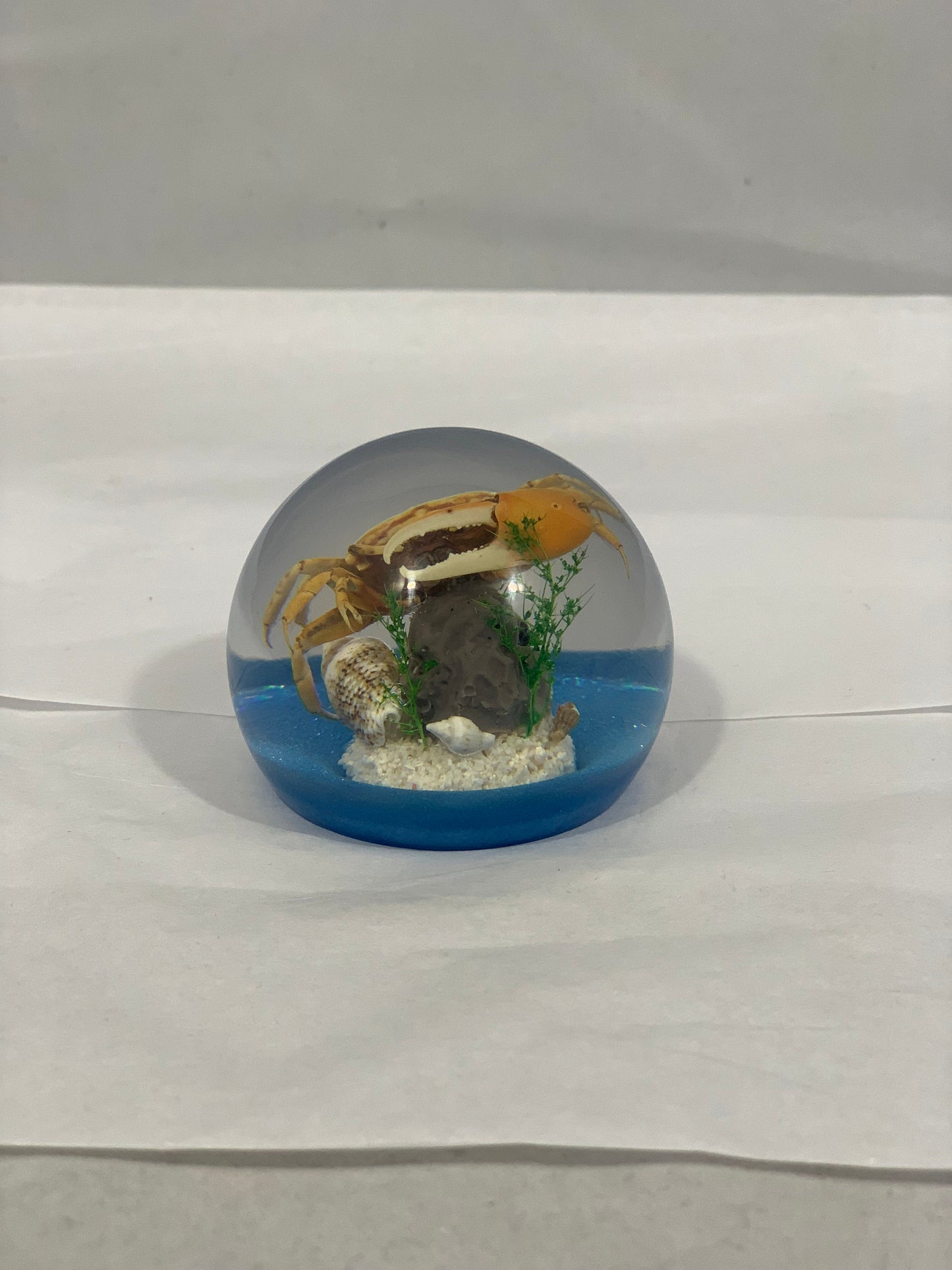 2.1" Fiddler Crab Globe