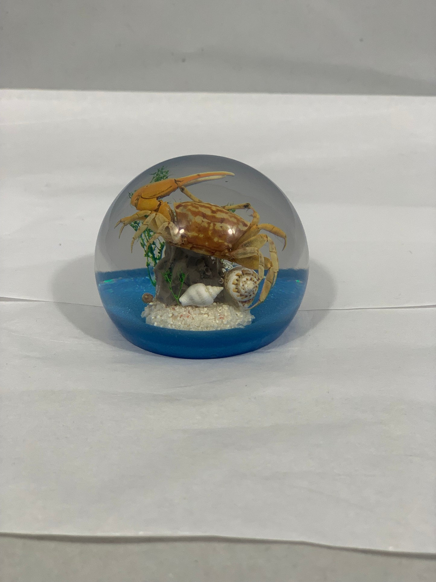 2.1" Fiddler Crab Globe