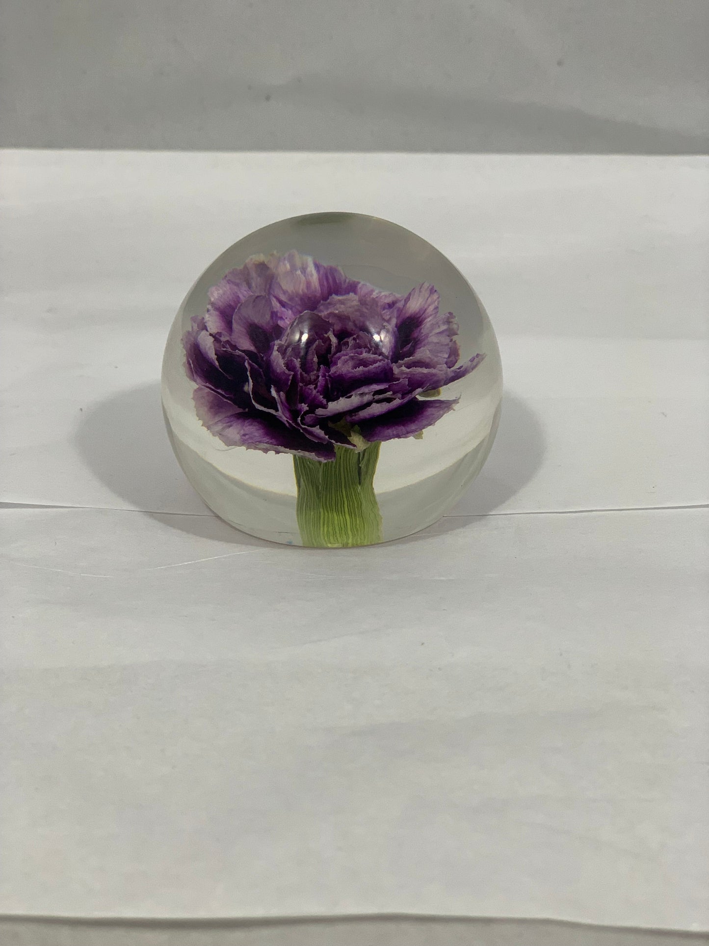 Purple Carnation Globe