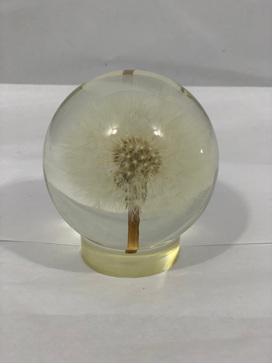 Dandelion Lightbulb Globe