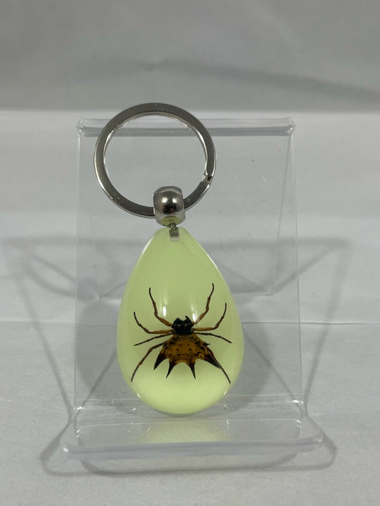 1.8" Spiny Spider Keychain