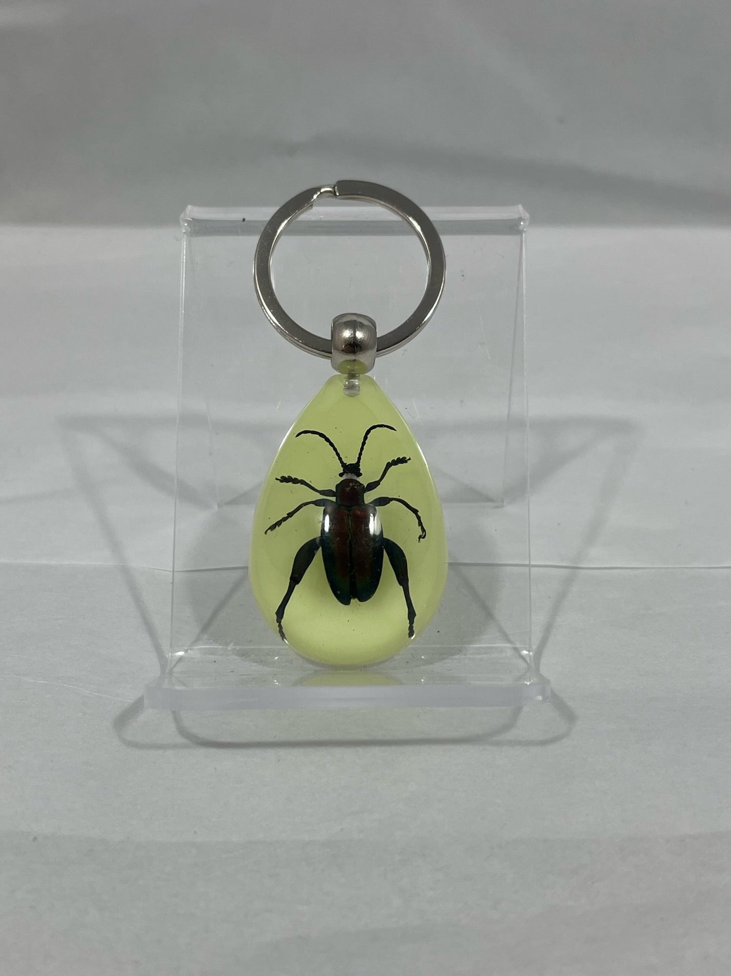 1.8" Jewel Frog Beetle Keychain