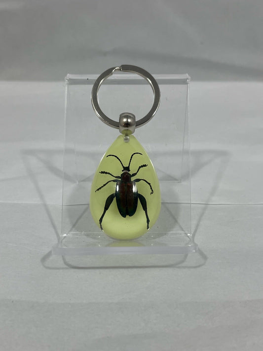 1.8" Jewel Frog Beetle Keychain