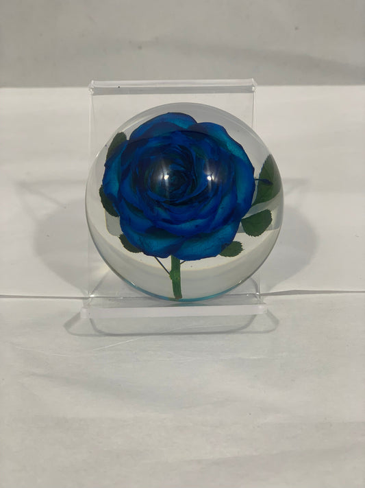 2.5" Blue Rose Half Globe