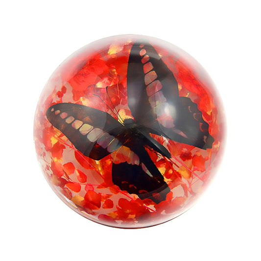 Common Bluebottle Butterfly Half Dome Paperweight (4x2)