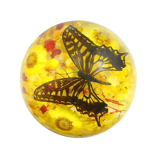 Asian Swallowtail Butterfly Half Dome Paperweight (4x2)