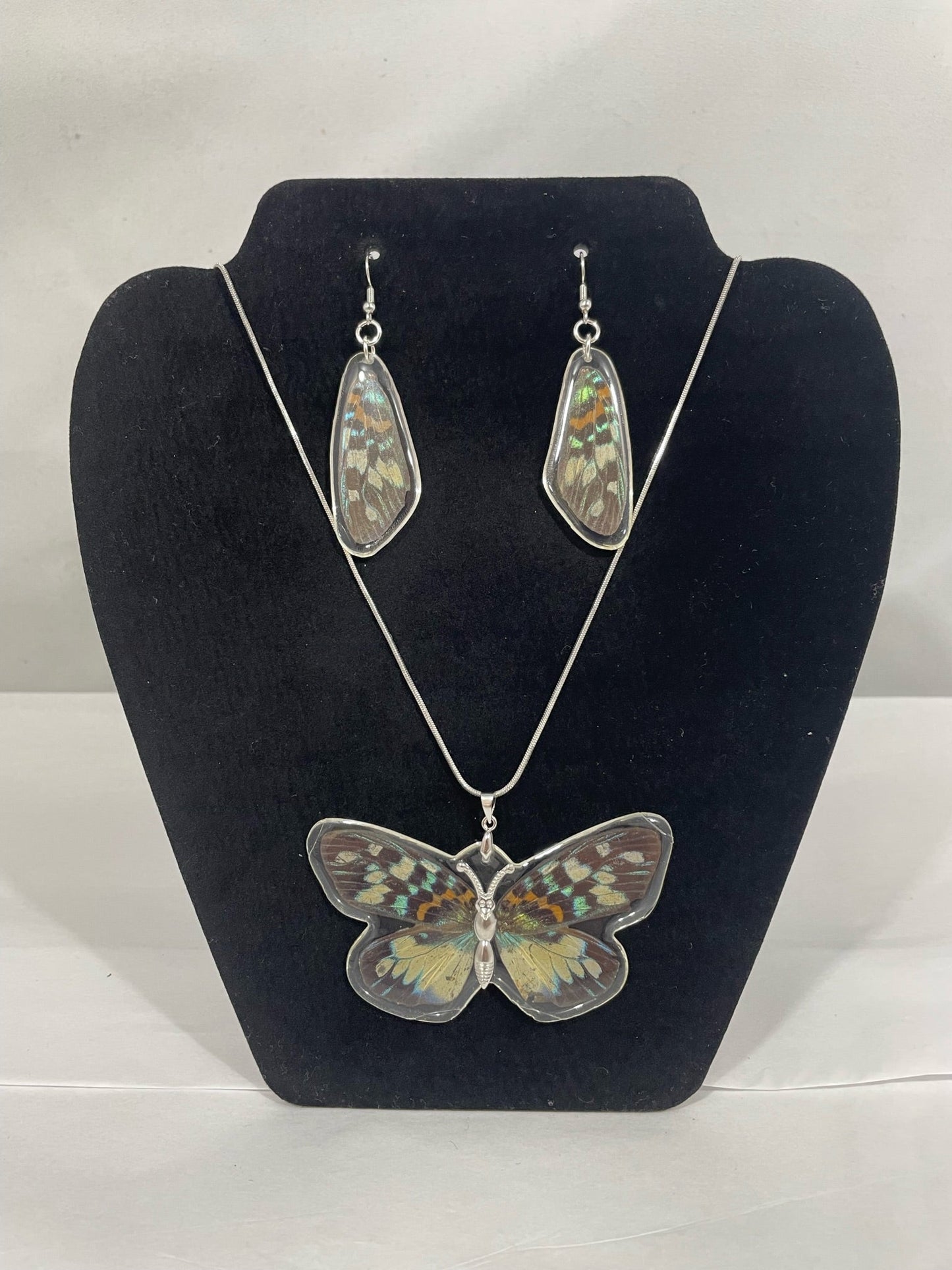 Preserved Butterfly Jewelry