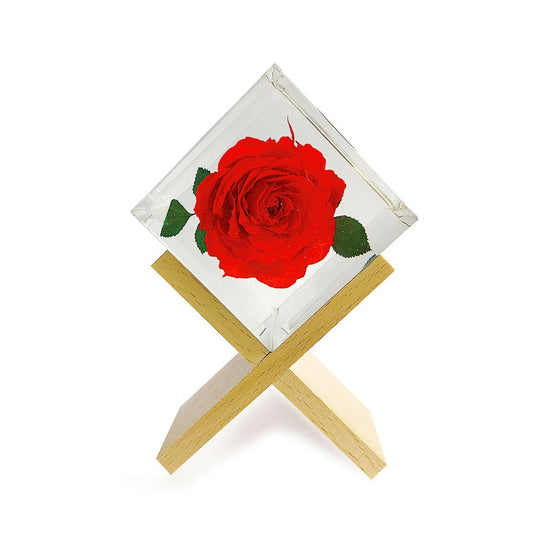 Red Rose encased 2x2 square resin suspended by bamboo interlocked stand