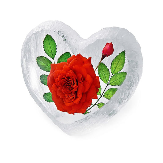 Red Rose encased in heart shaped resin