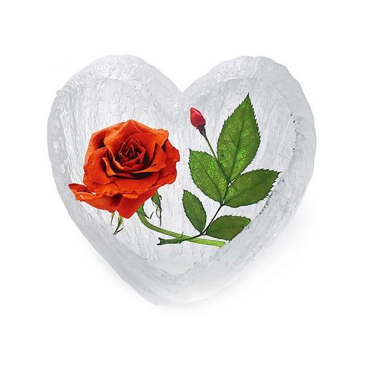 Red or Blue Rose encased in heart shaped resin